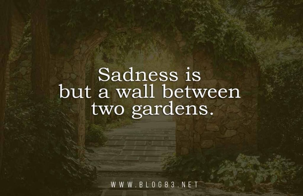 Sad Quotes Images