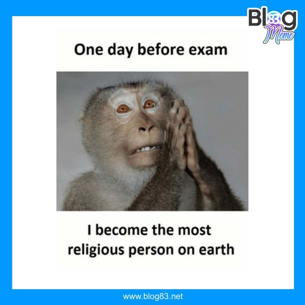 Exam Memes