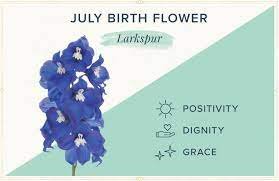 The July Birth Flower